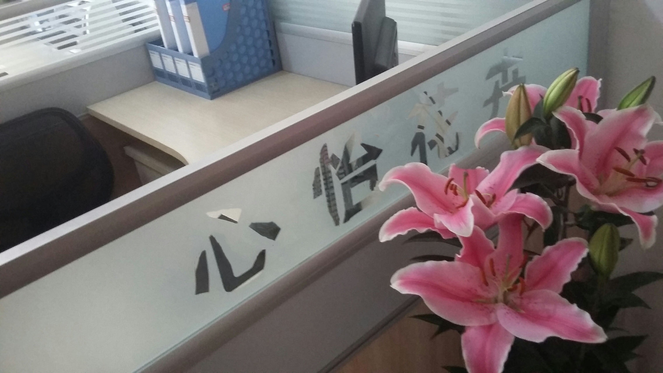 成都心怡花卉租赁有限公司